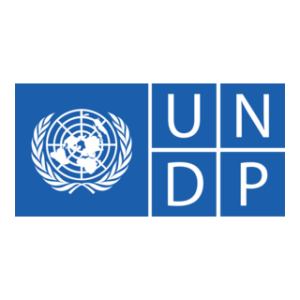 UNDP UNDP